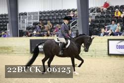 22BUCK_06125 proof