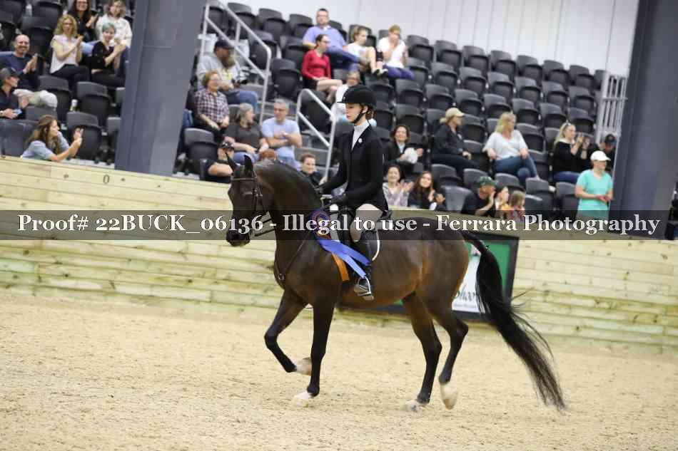 Proof 22BUCK_06136