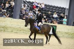 22BUCK_06136 proof
