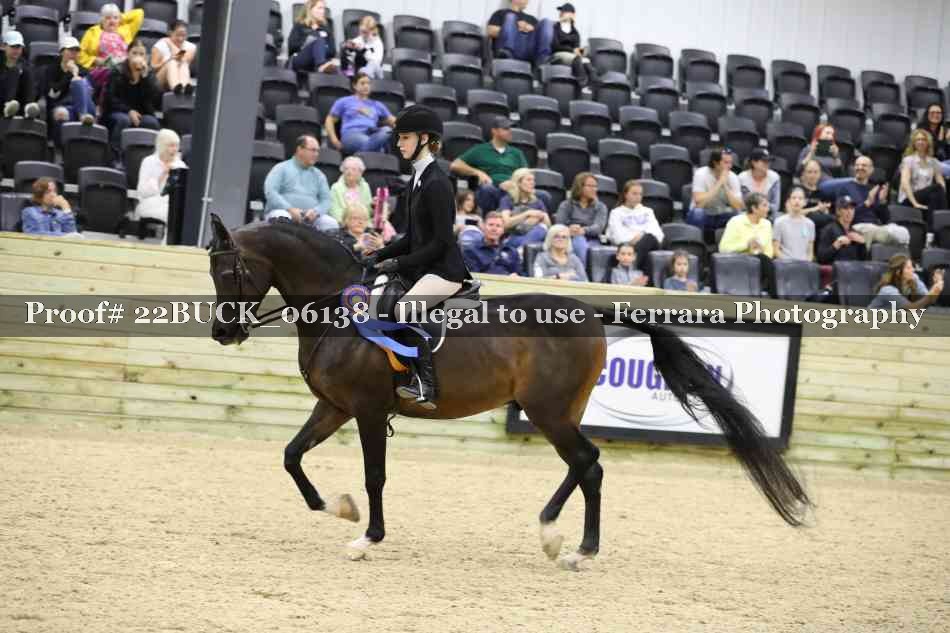 Proof 22BUCK_06138