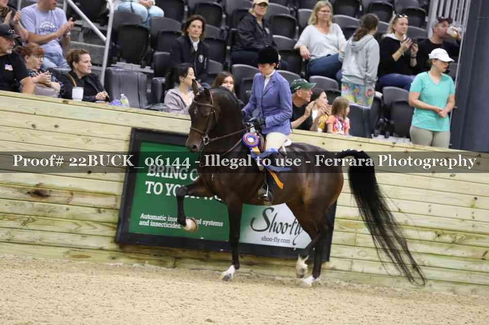 Proof 22BUCK_06144