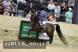 22BUCK_06144 proof