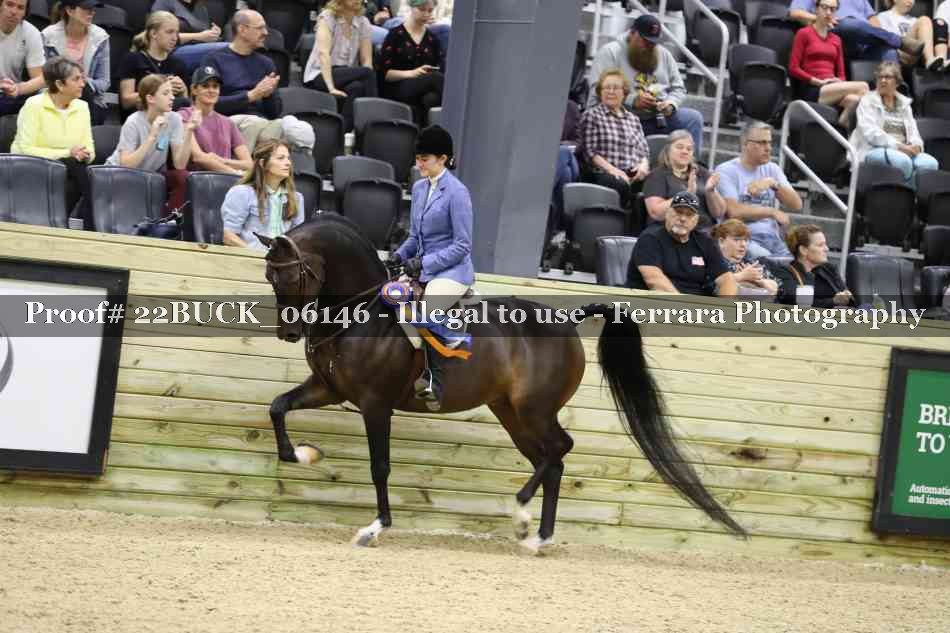 Proof 22BUCK_06146