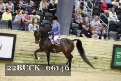 22BUCK_06146 proof