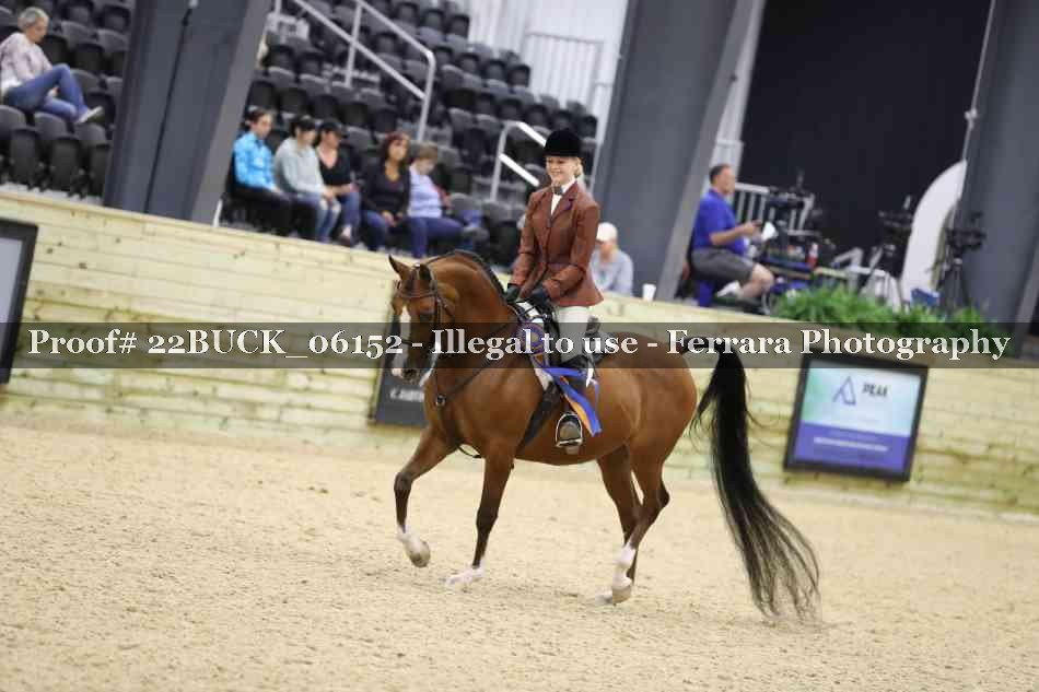 Proof 22BUCK_06152