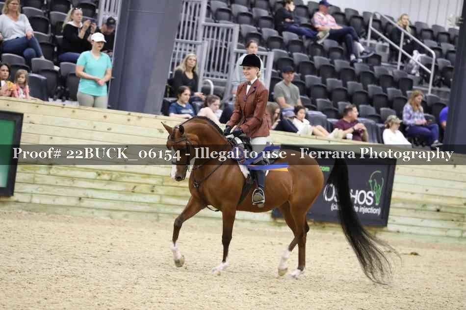 Proof 22BUCK_06154