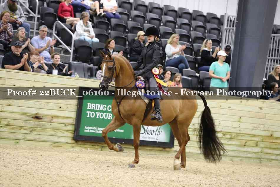Proof 22BUCK_06160