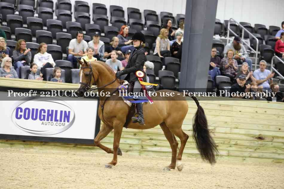 Proof 22BUCK_06162