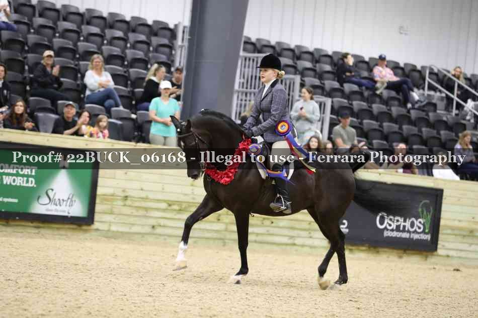 Proof 22BUCK_06168