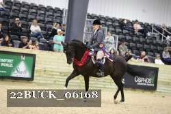 22BUCK_06168 proof