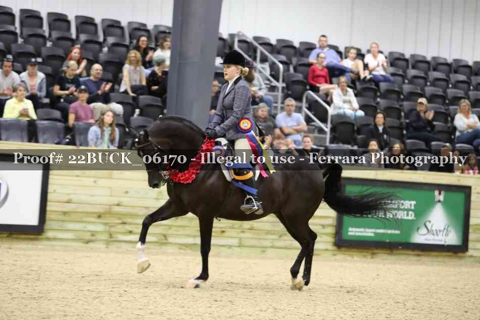 Proof 22BUCK_06170