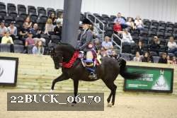 22BUCK_06170 proof