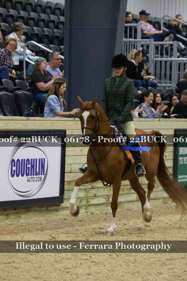 Proof 22BUCK_06178