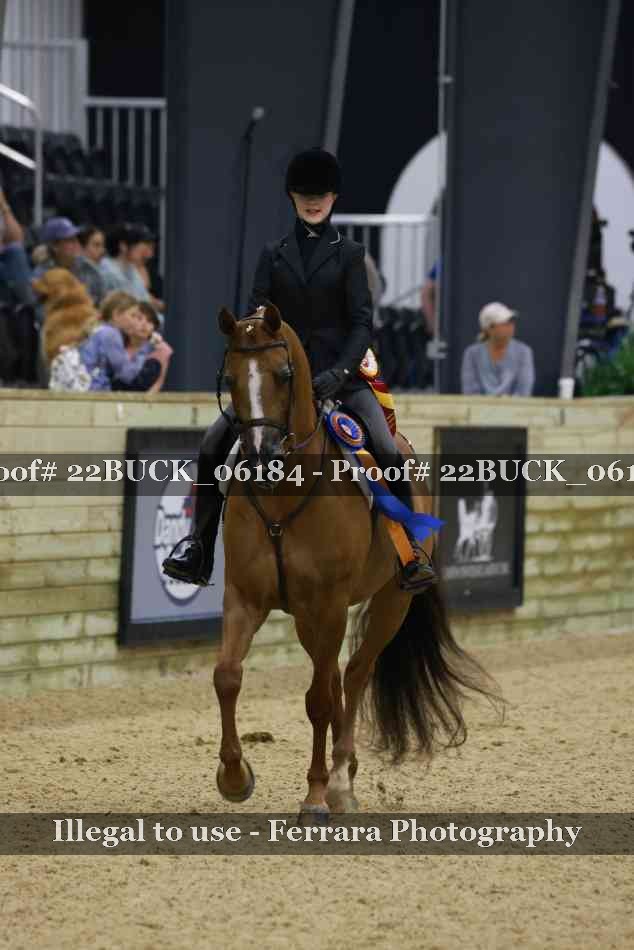 Proof 22BUCK_06184