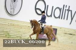 22BUCK_06200 proof