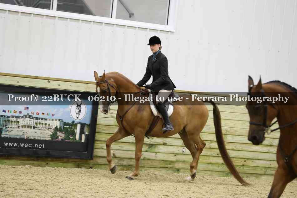 Proof 22BUCK_06210