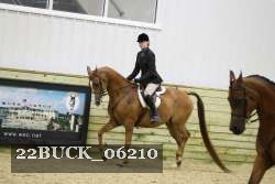 22BUCK_06210 proof