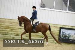 22BUCK_06216 proof