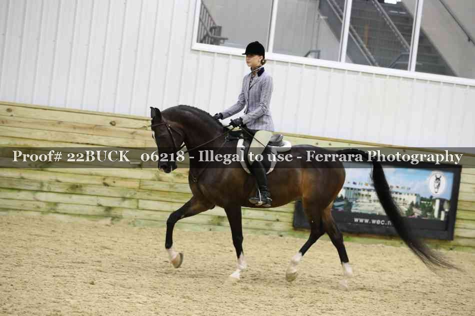 Proof 22BUCK_06218