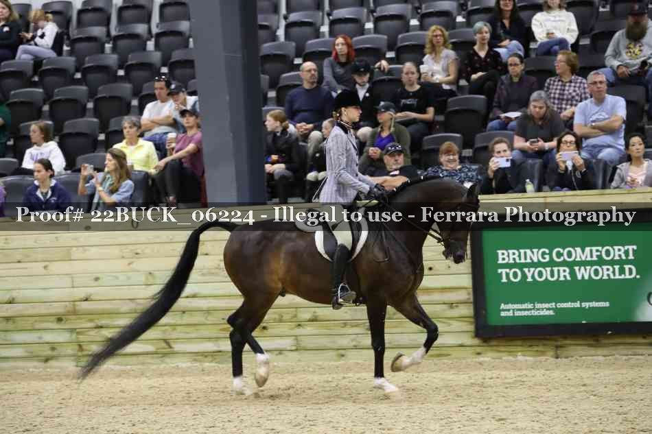 Proof 22BUCK_06224