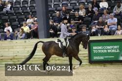 22BUCK_06224 proof