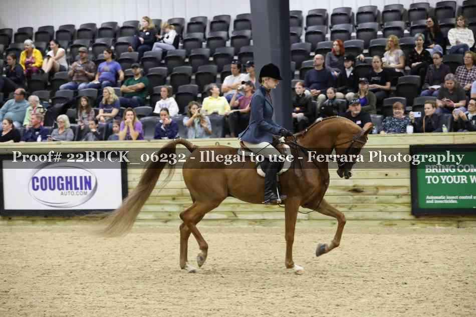 Proof 22BUCK_06232