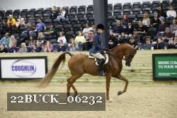 22BUCK_06232 proof