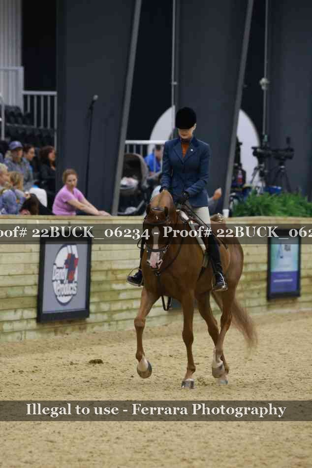 Proof 22BUCK_06234