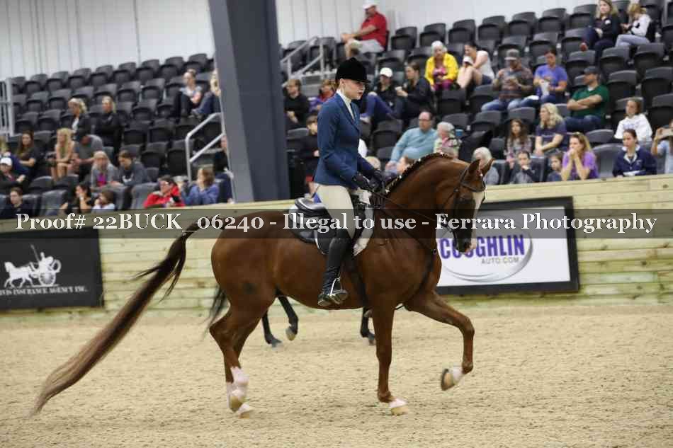 Proof 22BUCK_06240