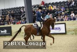 22BUCK_06240 proof