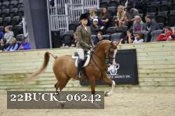 22BUCK_06242 proof