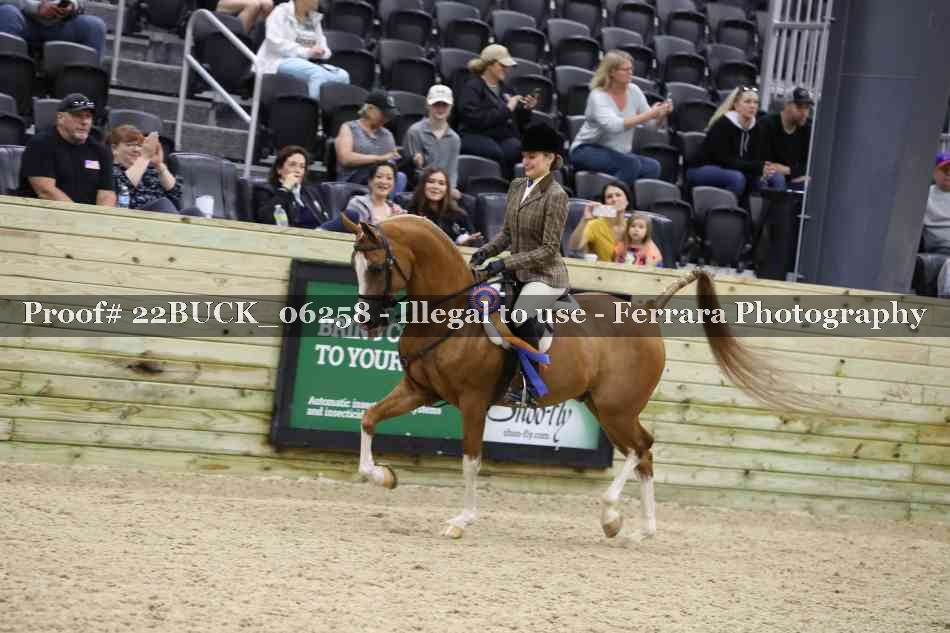 Proof 22BUCK_06258