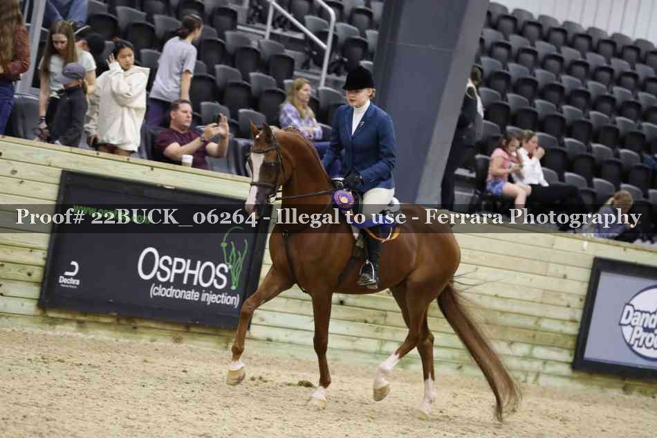 Proof 22BUCK_06264