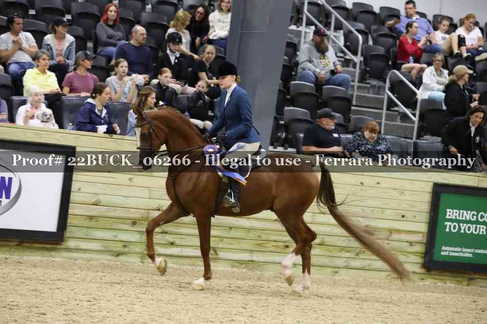 Proof 22BUCK_06266