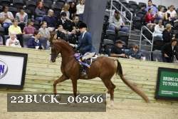 22BUCK_06266 proof