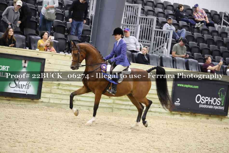 Proof 22BUCK_06274