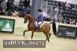 22BUCK_06274 proof