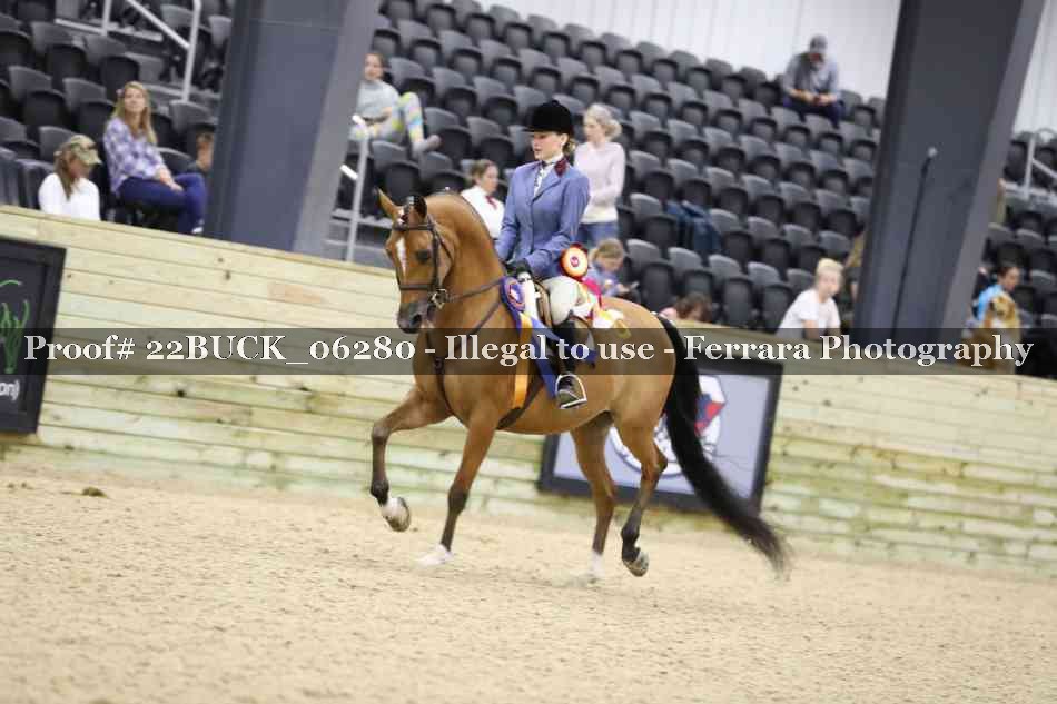 Proof 22BUCK_06280