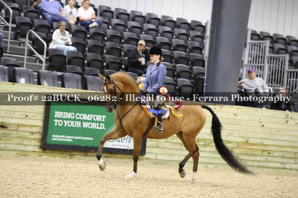 Proof 22BUCK_06282