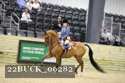 22BUCK_06282 proof
