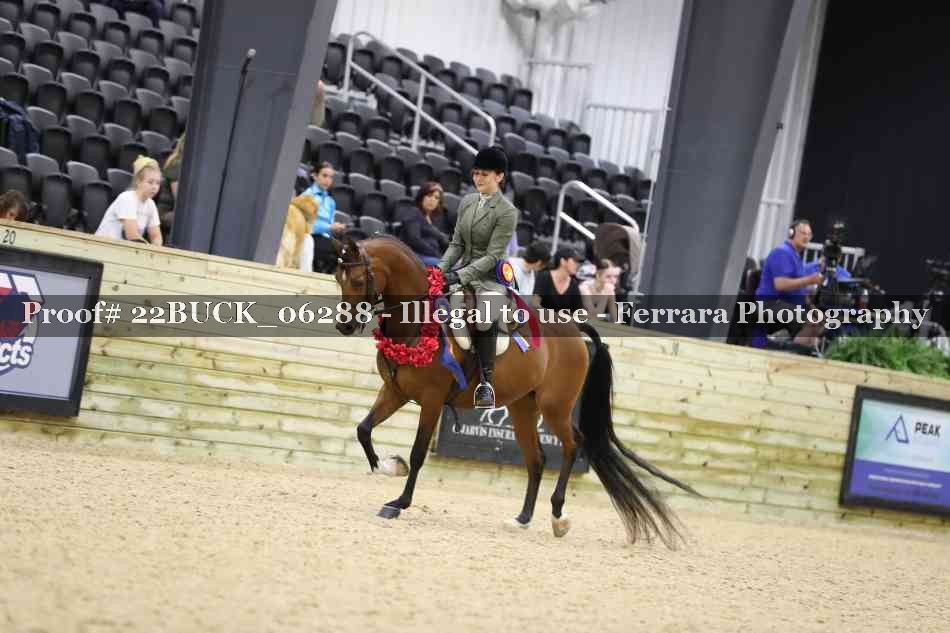 Proof 22BUCK_06288