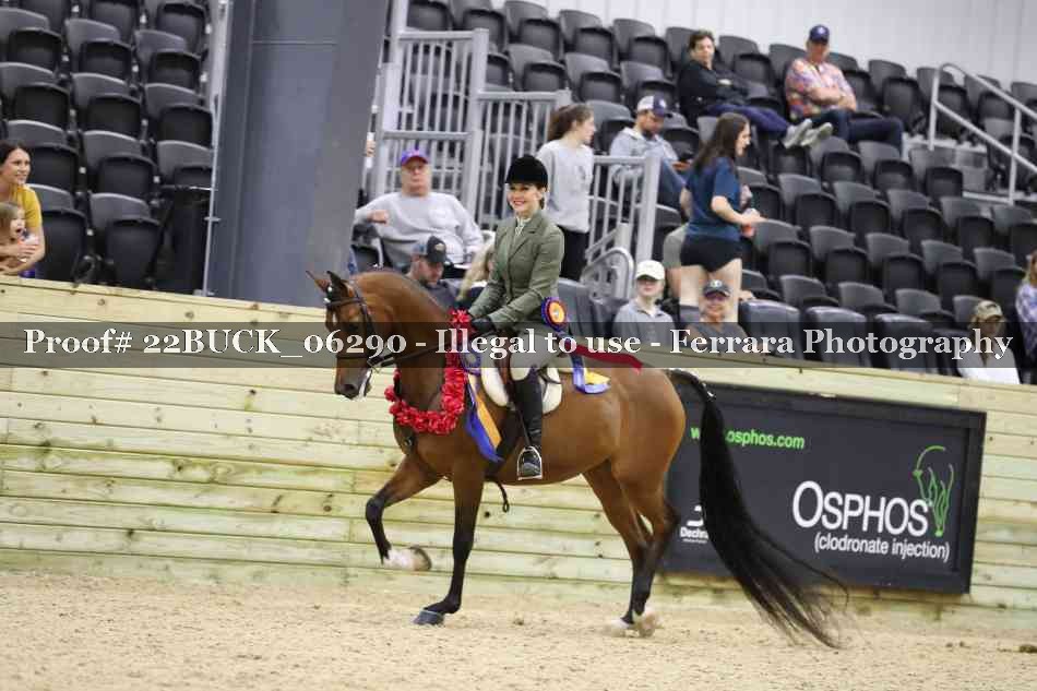 Proof 22BUCK_06290