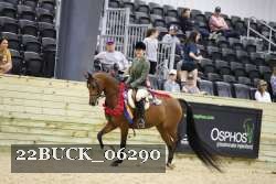 22BUCK_06290 proof