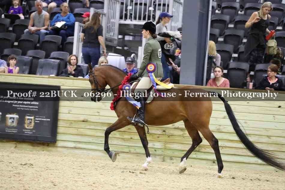 Proof 22BUCK_06296