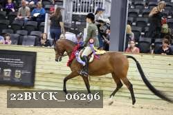 22BUCK_06296 proof