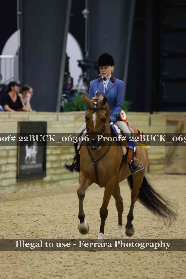 Proof 22BUCK_06306