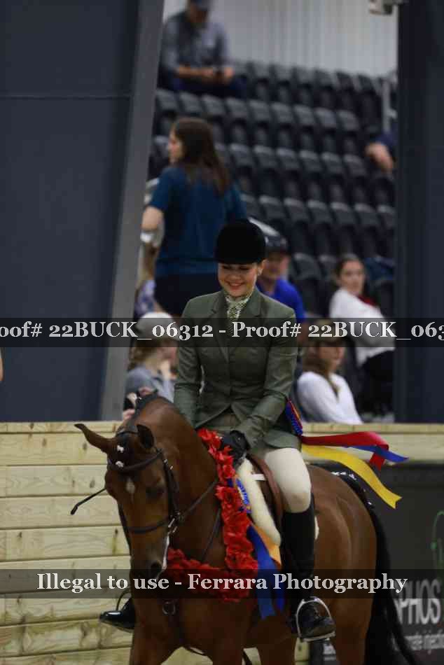 Proof 22BUCK_06312