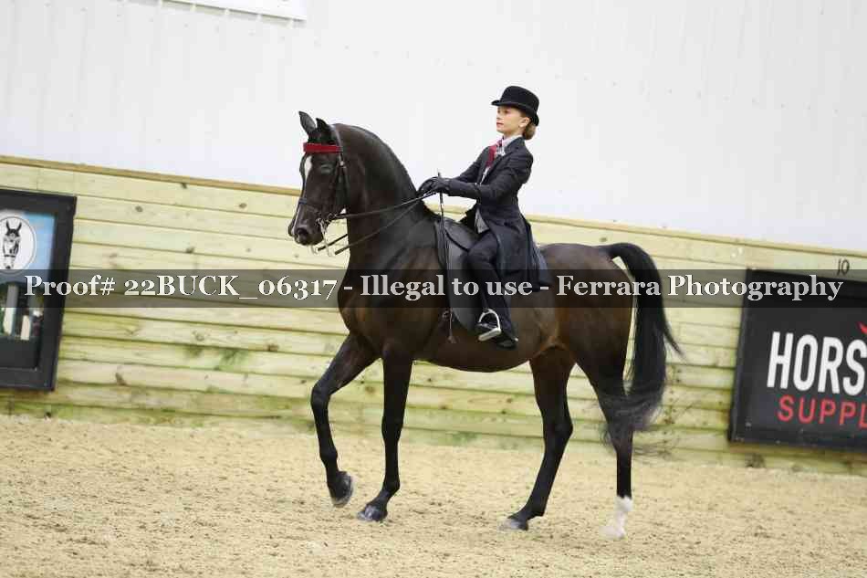 Proof 22BUCK_06317