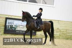 22BUCK_06318 proof