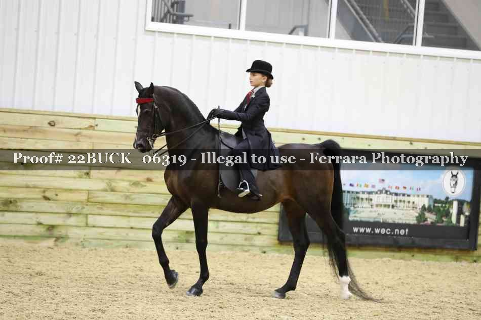 Proof 22BUCK_06319